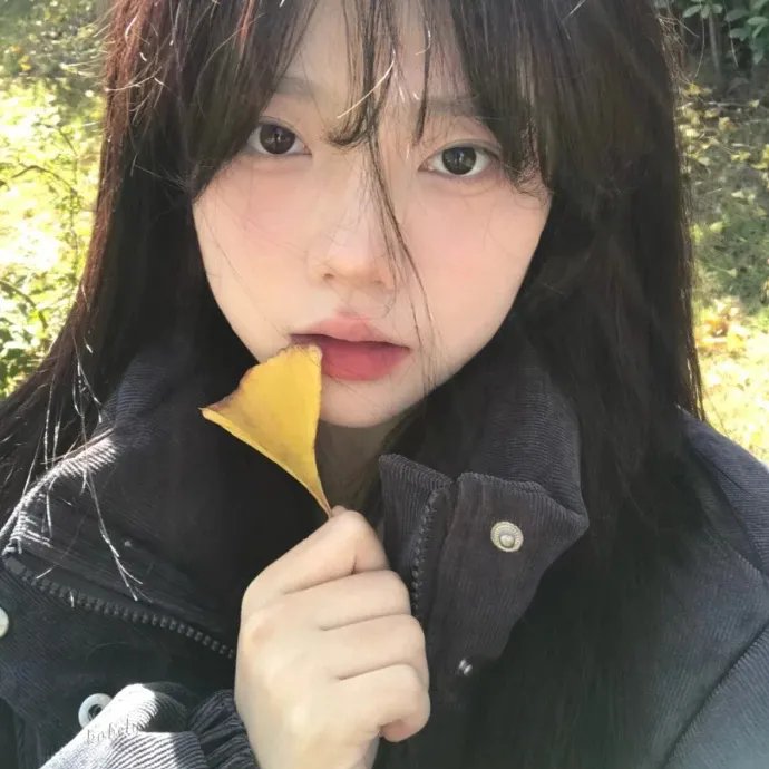 紧急盯梢令